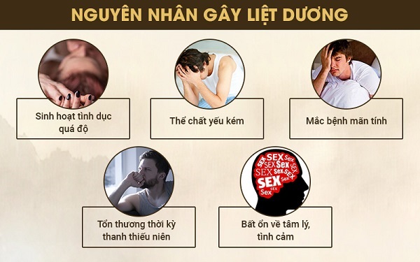 nguyên nhân liệt dương là gì