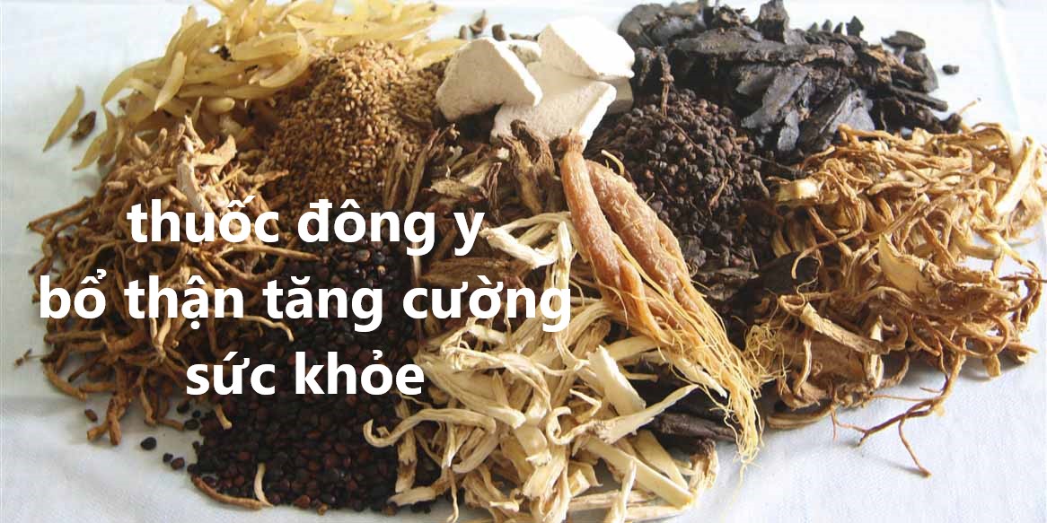 thuốc đông y bổ thận tăng cường sức khỏe