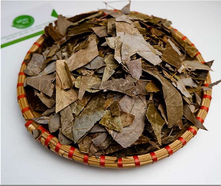 Dâm dương hoắc - vị thuốc tăng cường sinh lý