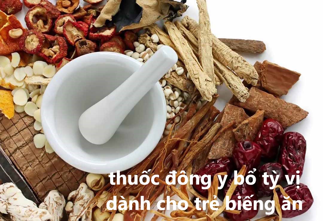 thuốc đông y bổ tỳ vị dành cho trẻ biếng ăn