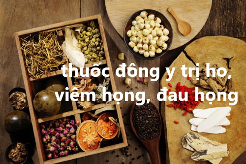 thuốc đông y trị ho, viêm họng, đau họng hiệu quả